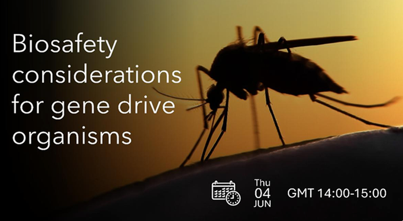 ISBR WEBINAR - 4, June 2026